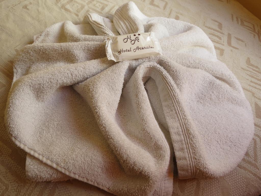 Hotel Arenales 维拉卡洛斯帕兹 客房 照片